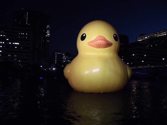 241222_rd0.JPG